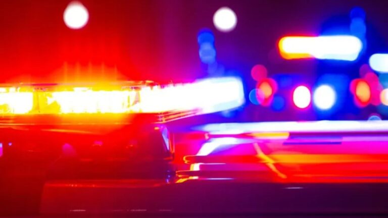 10,000 Coin Collection and Car Title Theft Leads to Arrest in Charleston