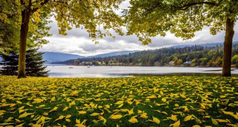 7 Perfect Washington Towns for Hikers